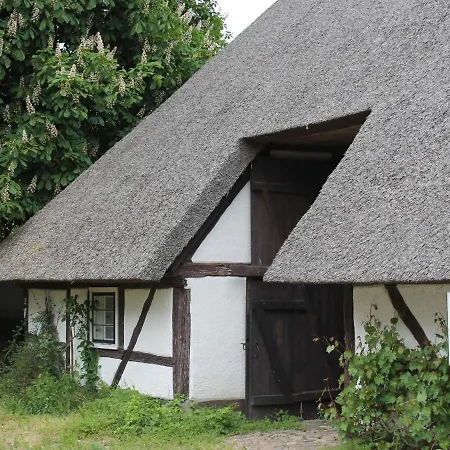 In For 4 Personen Appartamento Reddelich