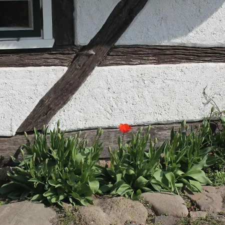 In For 4 Personen Appartamento *