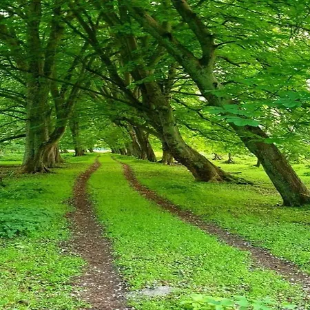 In For 4 Personen Appartamento